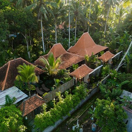 Jaya Villa Ubud Kültér fotó